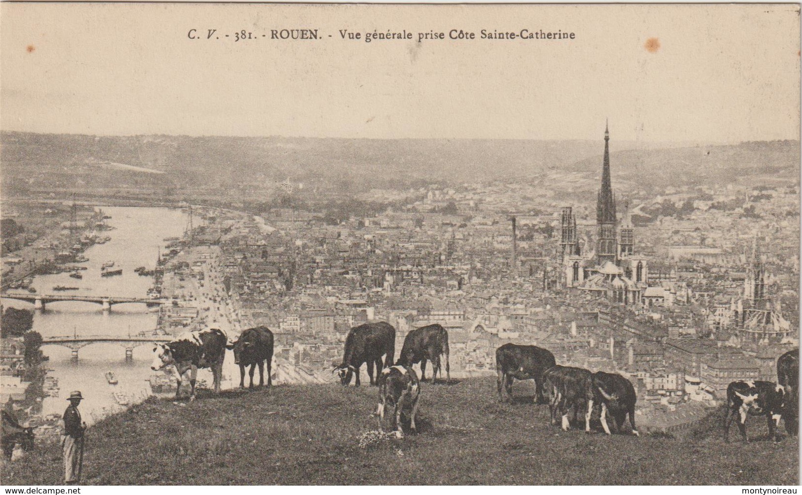 Seine  Maritime :  ROUEN : Vue   ,  Vache - Rouen