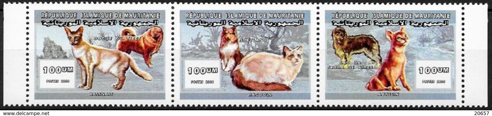 Mauritanie 0699/701 Chat Et Chien , Balinais , Ragdoll , Abyssin , Tibet , Shetland , Serra De Aires - Domestic Cats