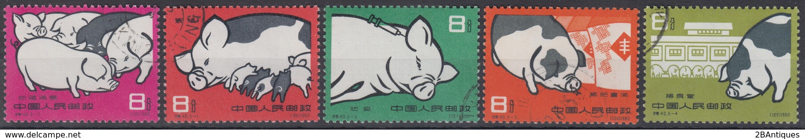 PR CHINA 1960 - Pig-breeding CTO OG XF - Gebraucht