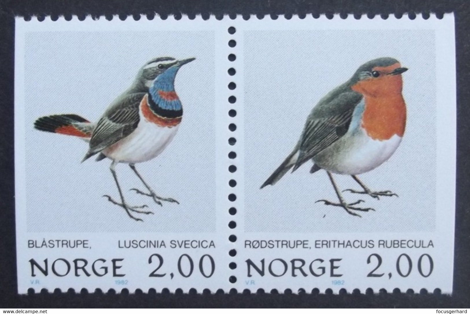 Norwegen   Vögel  1982   ** - Sonstige & Ohne Zuordnung