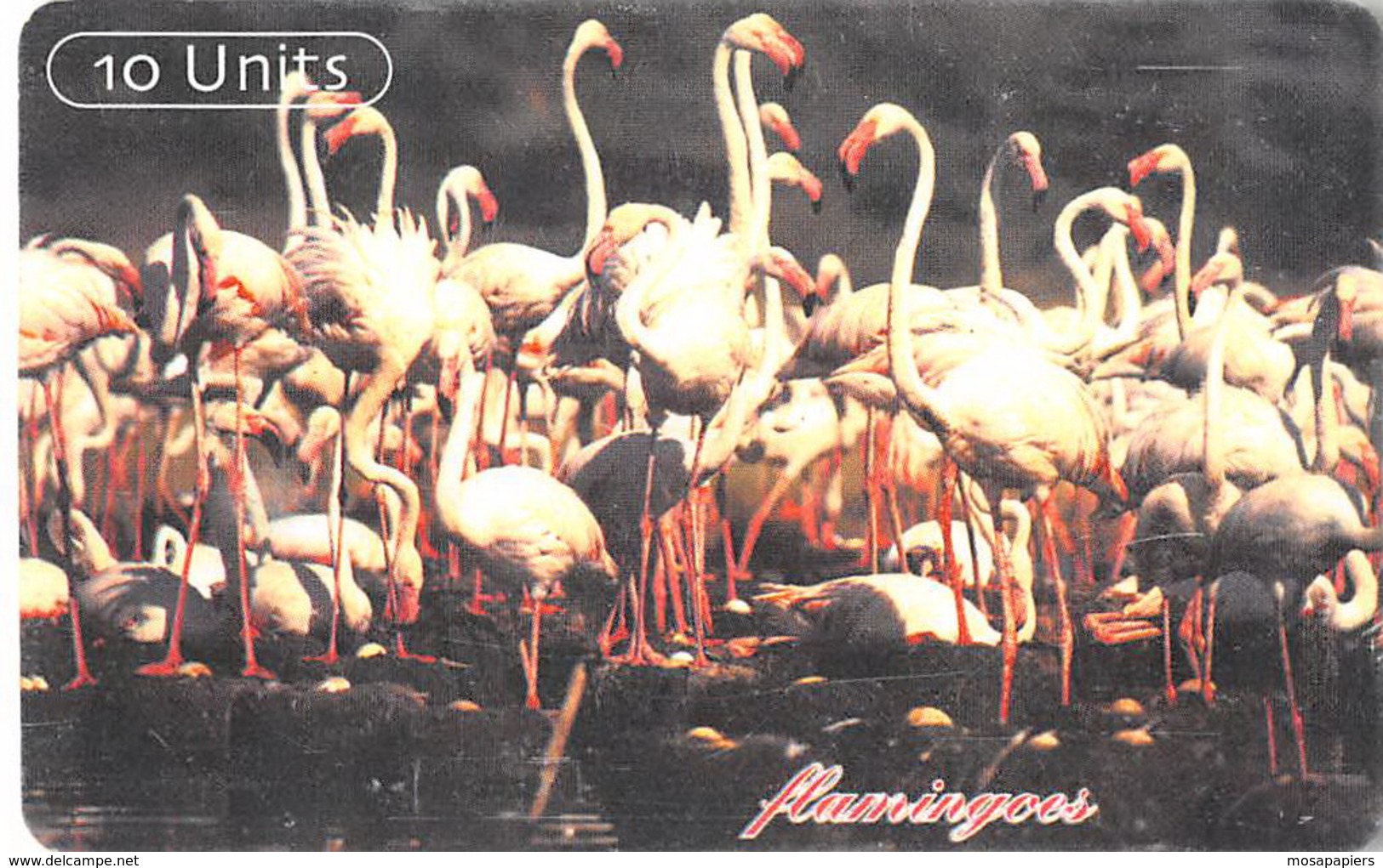 Tanzanie Old Phonecard - 10 Units Flamingo - Tansania