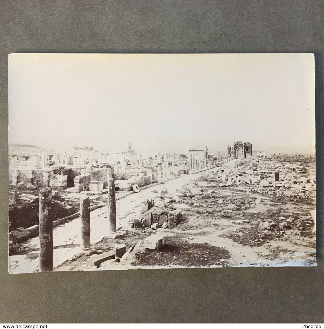 PHOTOGRAPHIE ALGERIE TIMGAT LA VOIE ROMAINE - Anciennes (Av. 1900)