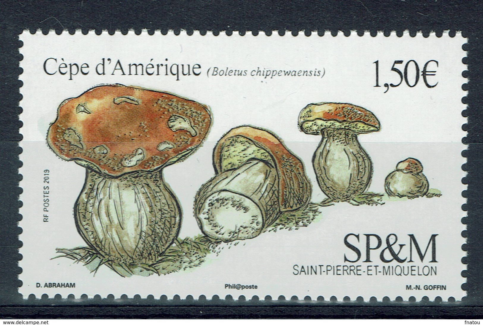 Saint Pierre And Miquelon, Mushroom, Boletus Chippewaensis, 2019, MNH VF - Nuovi