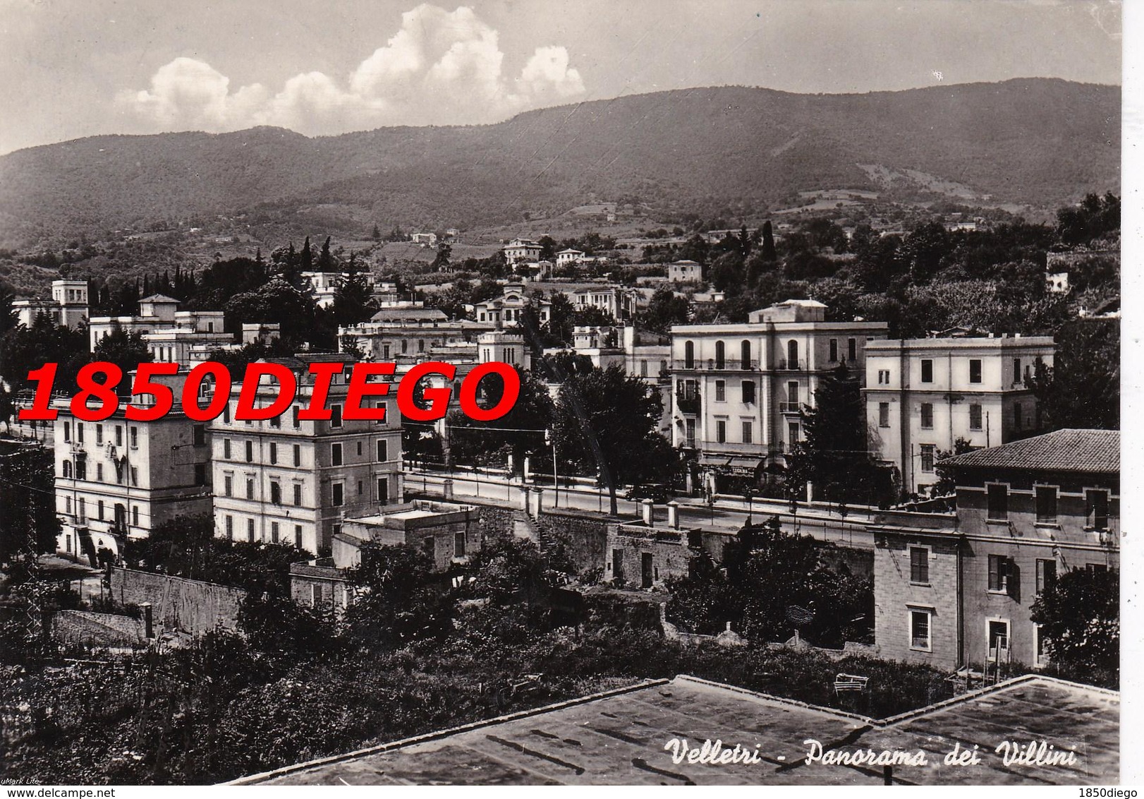 VELLETRI - PANORAMA DEI VILLINI F/GRANDE VIAGGIATA 1951 - Velletri