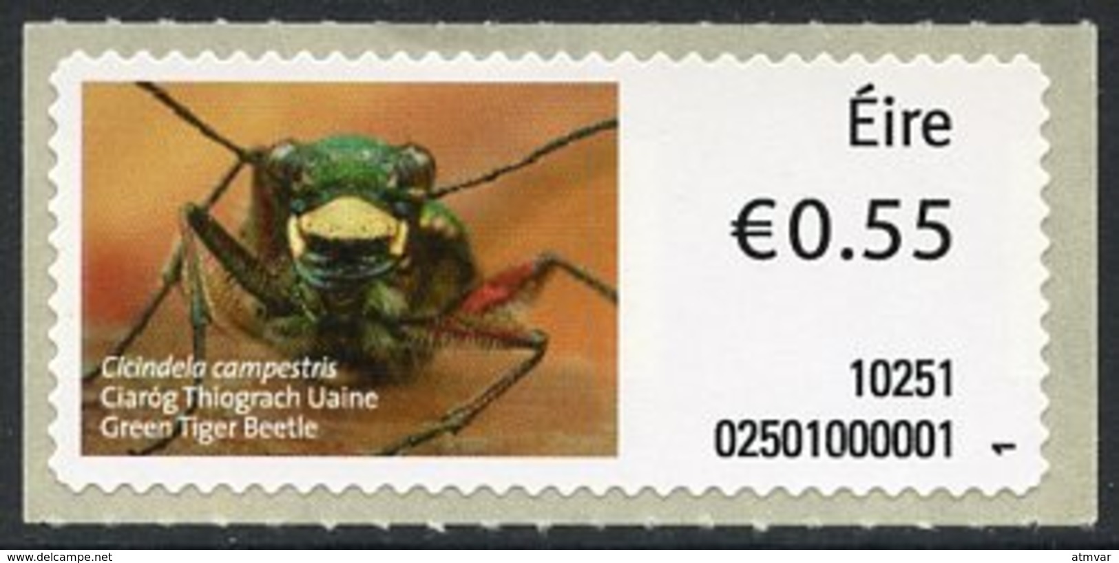 IRELAND (2010). SOAR - ATM - Cicindela Campestris, Ciaróg Thiograch Uaine, Green Tiger Beetle, Cicindèle Champêtre - Franking Labels