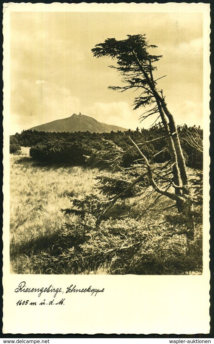 TOURISMUS / REISEN / CAMPING : SCHNEEKOPPE/ *(Preuß.)/ A 1938 (7.8.) 1K-Brücke = Hauspostamt Wanderer-Schutz- U. Gasthau - Autres & Non Classés