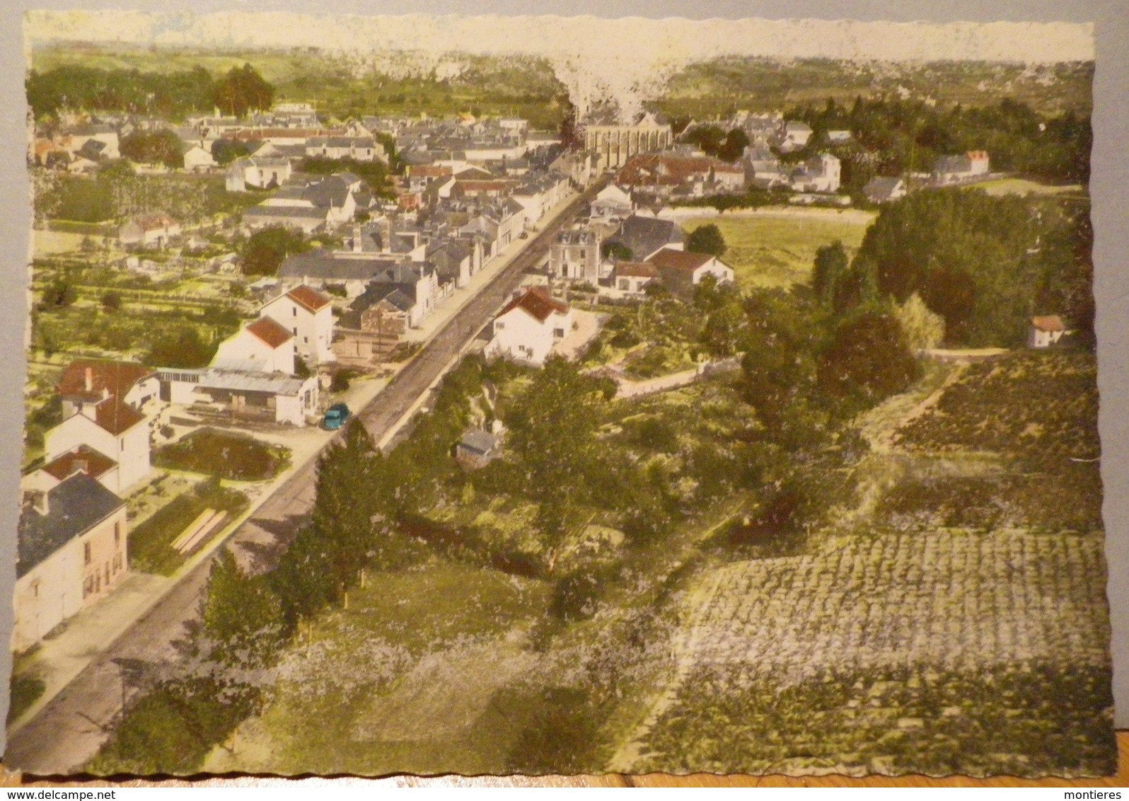 CPSM 49 - SAINT LAMBERT DU LATAY VUE GÉNÉRALE - Autres & Non Classés