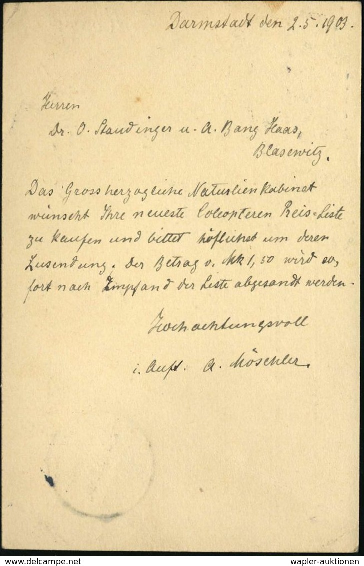 PALÄONTOLOGIE / SAURIER / AUSGESTORBENE TIERE : DARMSTADT/ *1p 1903 (2.5.) 1K-Gitter + Ra2: Frei Lt. Avers. No.5 /Gr. Mu - Autres & Non Classés