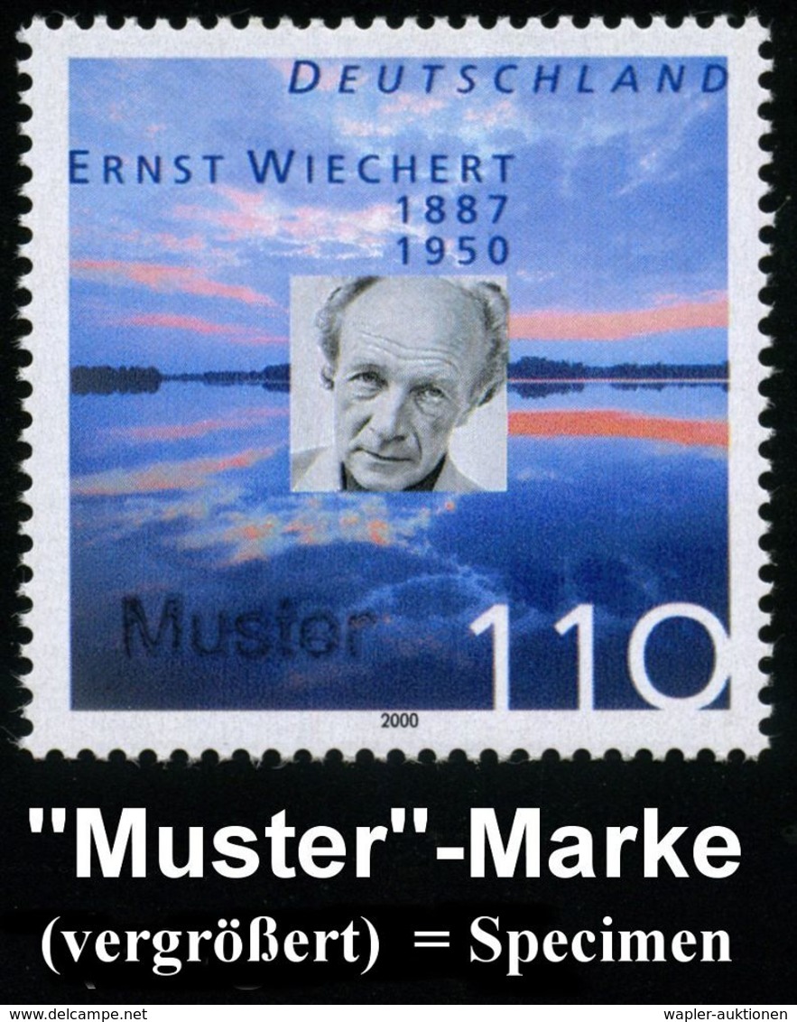 DEUTSCHSPRACHIGE DICHTER & LITERATUR : B.R.D. 2000 (Aug.) 110 Pf. "50. Todestag Ernst Wiechert" Mit Amtl. Handstempel  " - Writers