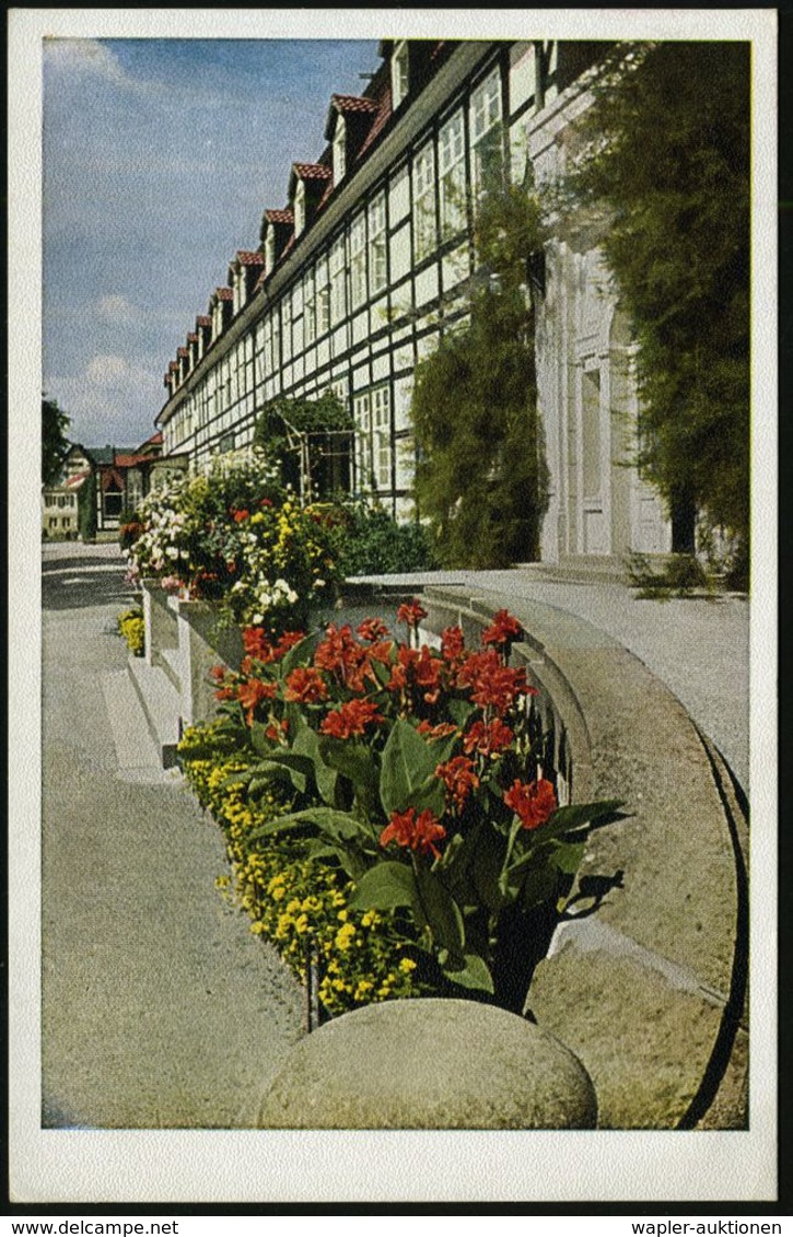 RHEUMATISMUS : BAD MEINBERG (LIPPE)/ Rheuma-,Frauen-/ Herz-,Nerven-Bad... 1942 (18.9.) HWSt Klar Auf Color-Ak.: Stern Am - Maladies