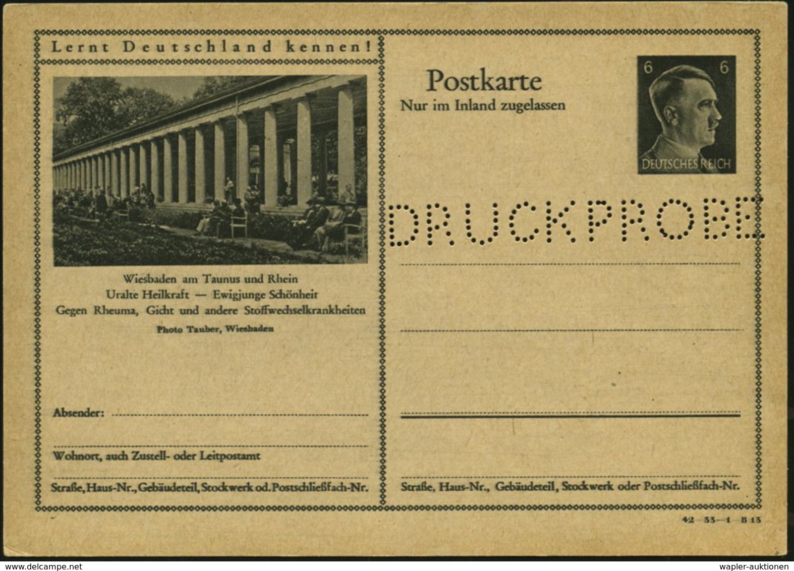 RHEUMATISMUS : Wiesbaden 1942 6 Pf. BiP Hitler, Braun: ..Gegen Rheuma, Gicht U.a. Stoffwechselkrankheiten (Brunnen-Kolon - Krankheiten