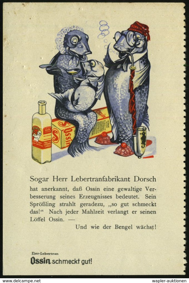 PHARMAZIE / MEDIKAMENTE : BERLIN SO/ 36/ J.G./ Stroschein 1931 (4.9.) AFS Auf Künstler-Color-Reklame-Kt.: Ossin-Lebertra - Pharmazie