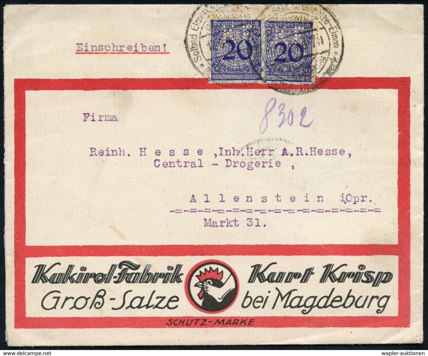 PHARMAZIE / MEDIKAMENTE : Großsalze/ (Kr.Calbe,Saale)/ Solbad Elmen../ Größtes Gradierwerk 1924 (17.6.) HWSt 2x (z. T. G - Pharmacy