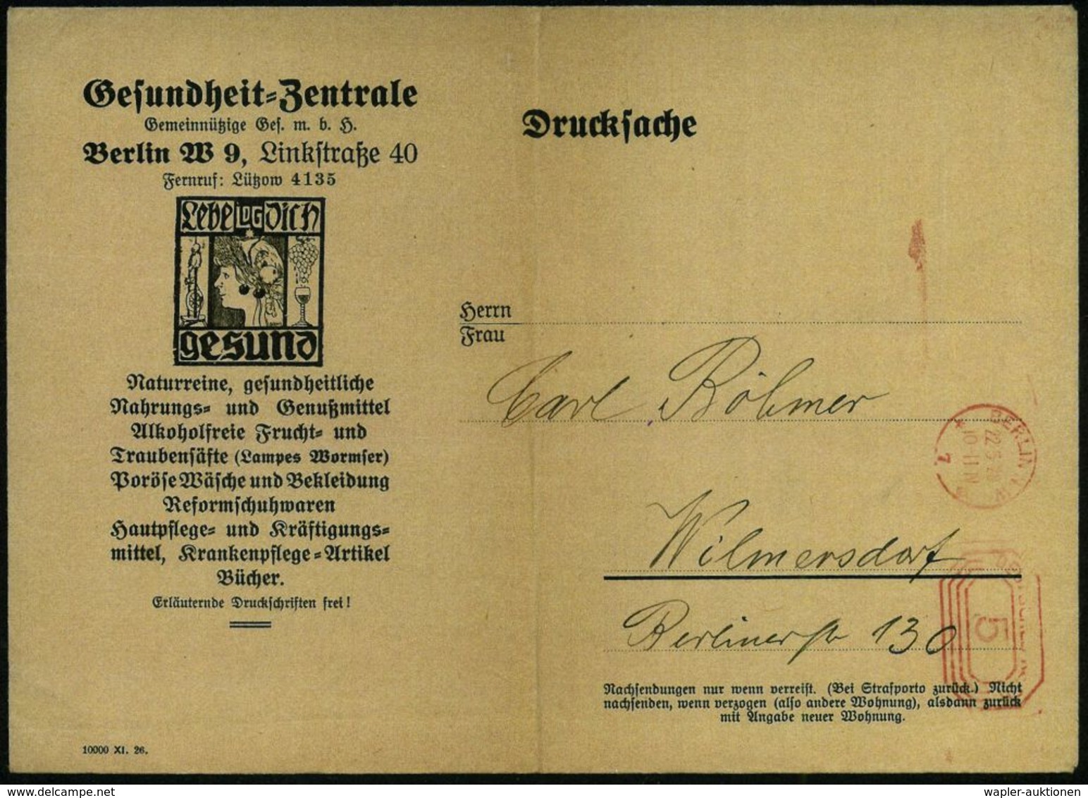 HOMÖOPATHIE / HEILPFLANZEN : BERLIN N.W./ *7III 1928 (22.5.) PFS 5 Pf. Auf Gr. Jugendstil-Reklame-Bf: Gesundheit=Zentral - Médecine