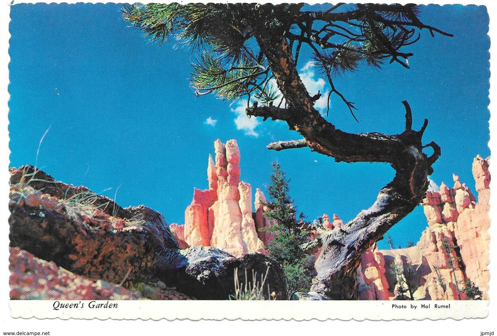 QUEEN'S GARDEN - Bryce National Park In Southern Utah ... - Dist. George Mc Company No. 110680 - Bryce Canyon