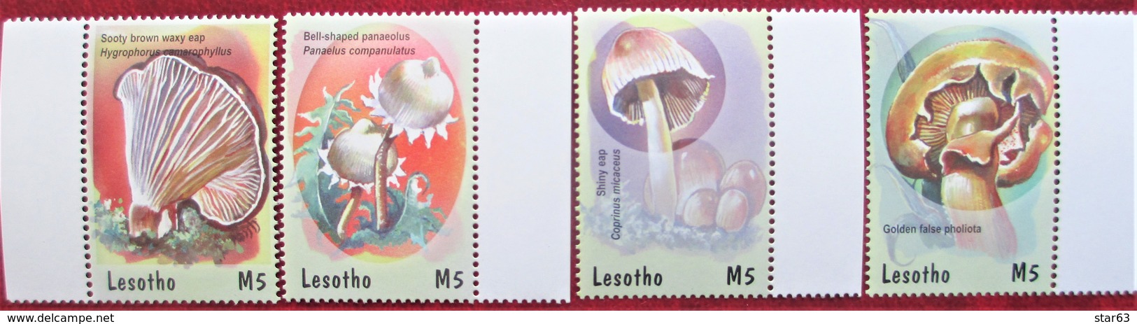 Lesotho  2001  Mushrooms    4 V  MNH - Funghi