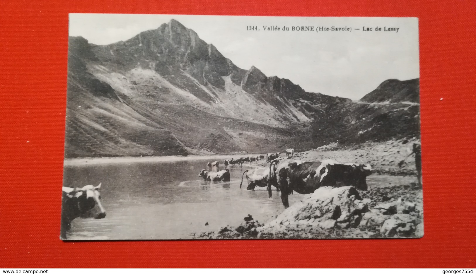 74   PETIT BORNAND - LAC DE LEEY - Autres & Non Classés