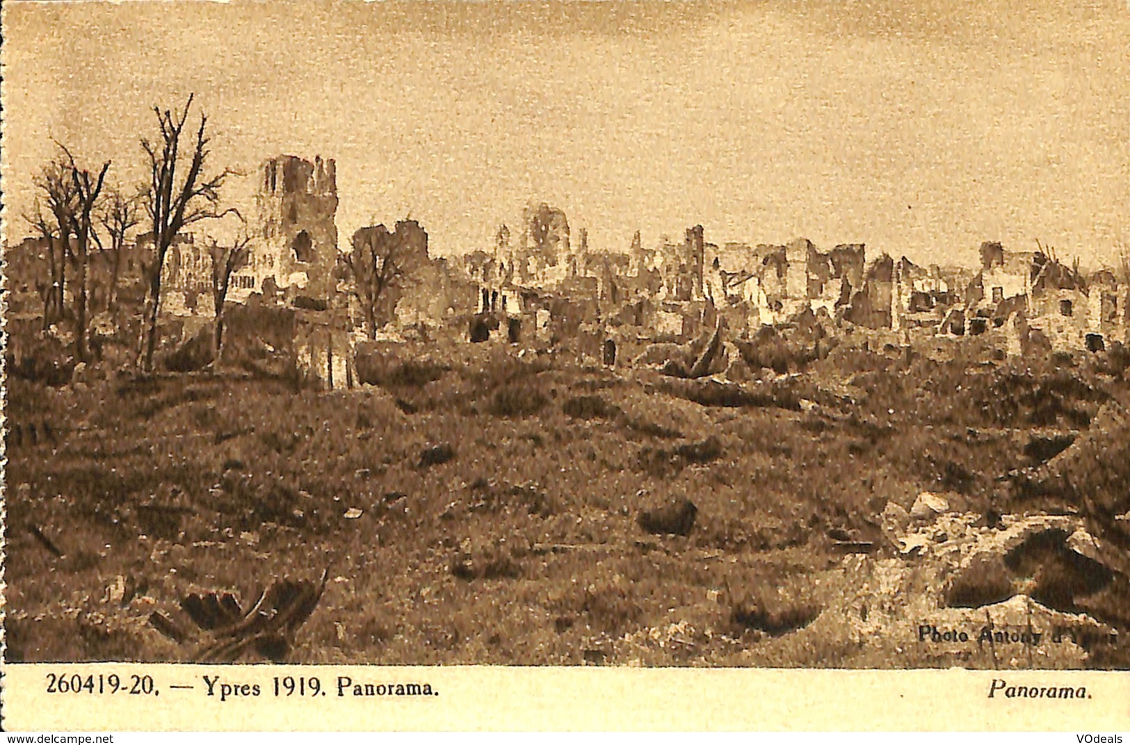 CPA - Belgique - Ieper - Ypres - 1919 - Panorama - Ieper