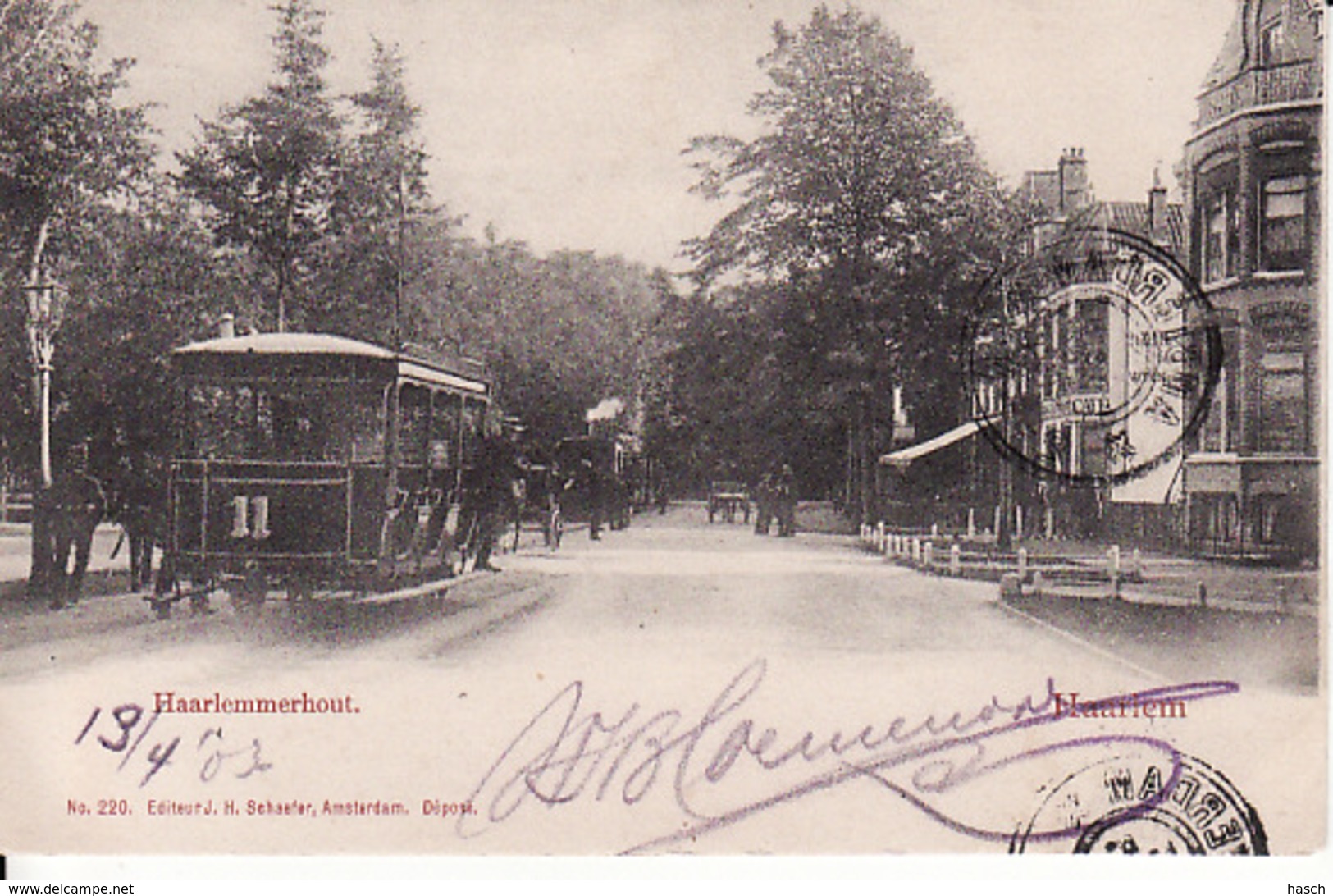 2727	13	Haarlem, Haarlemmerhout Met Tram 11 (poststempel 1903)(links Boven Een Minuscule Vouw) - Haarlem