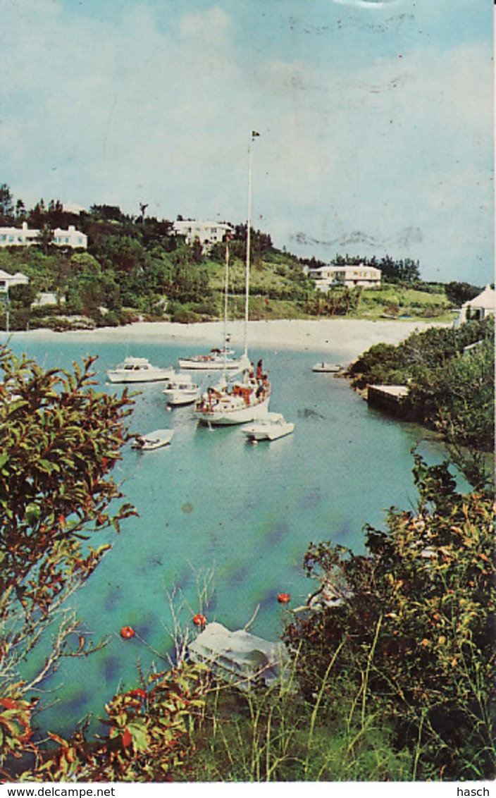 267391Bermuda, The Cove - Bermuda