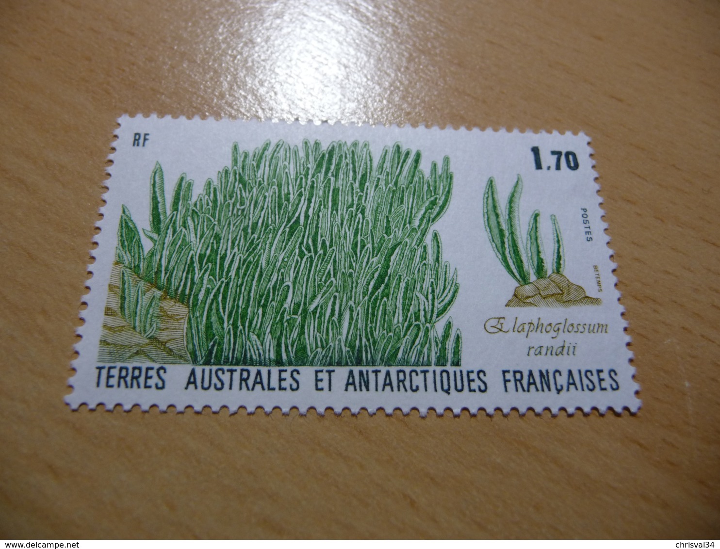 TIMBRE    TAAF        N  131    COTE  1,00  EUROS    ANNÉE  1988    NEUF  LUXE** - Unused Stamps