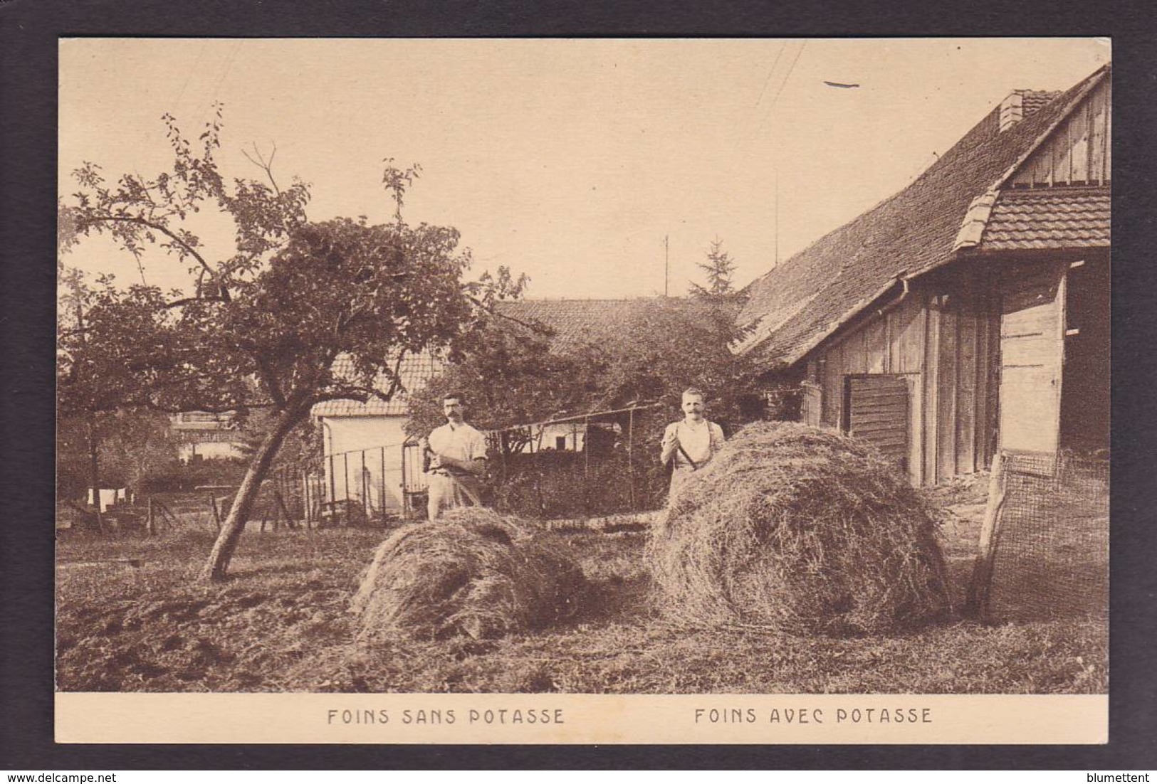 CPA Haut Rhin 68 Métier Alsace Potasse éditeur Braun Dornach Non Circulé - Otros & Sin Clasificación