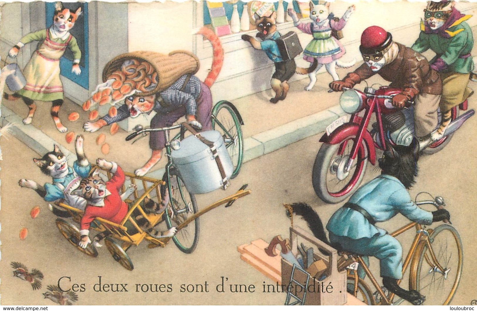 CHATS HUMANISES LES DEUX ROUES - Chats