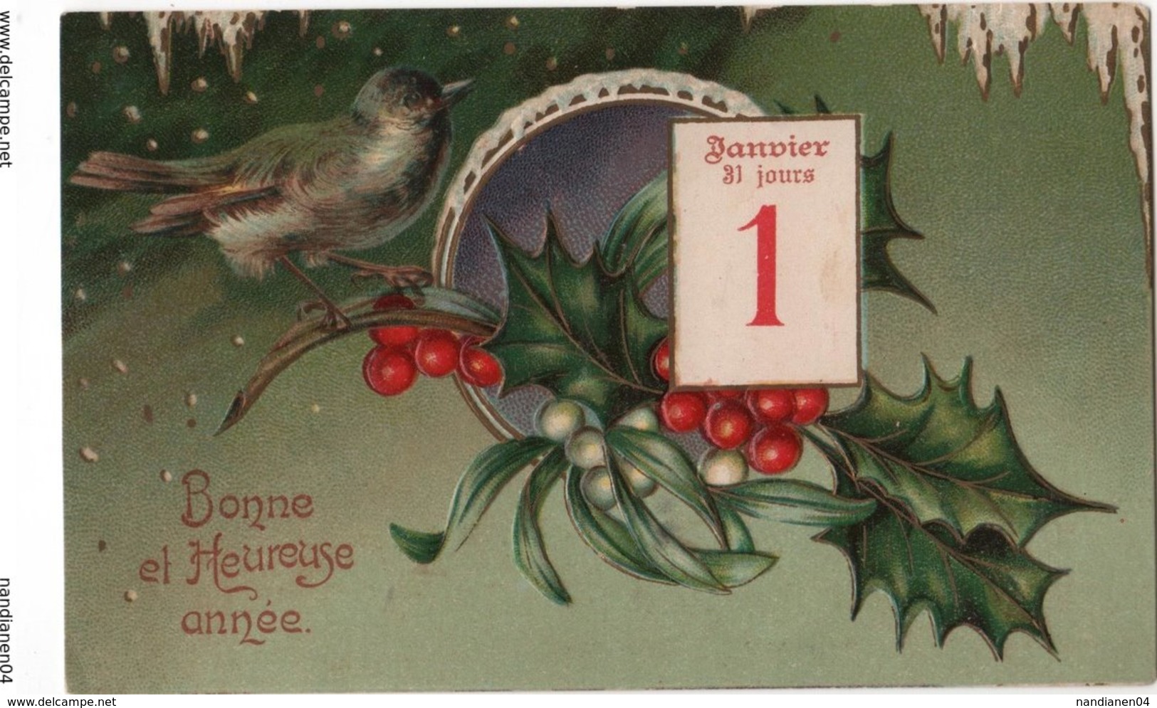 CPA - Carte Oiseaux  - Janvier - Oiseaux