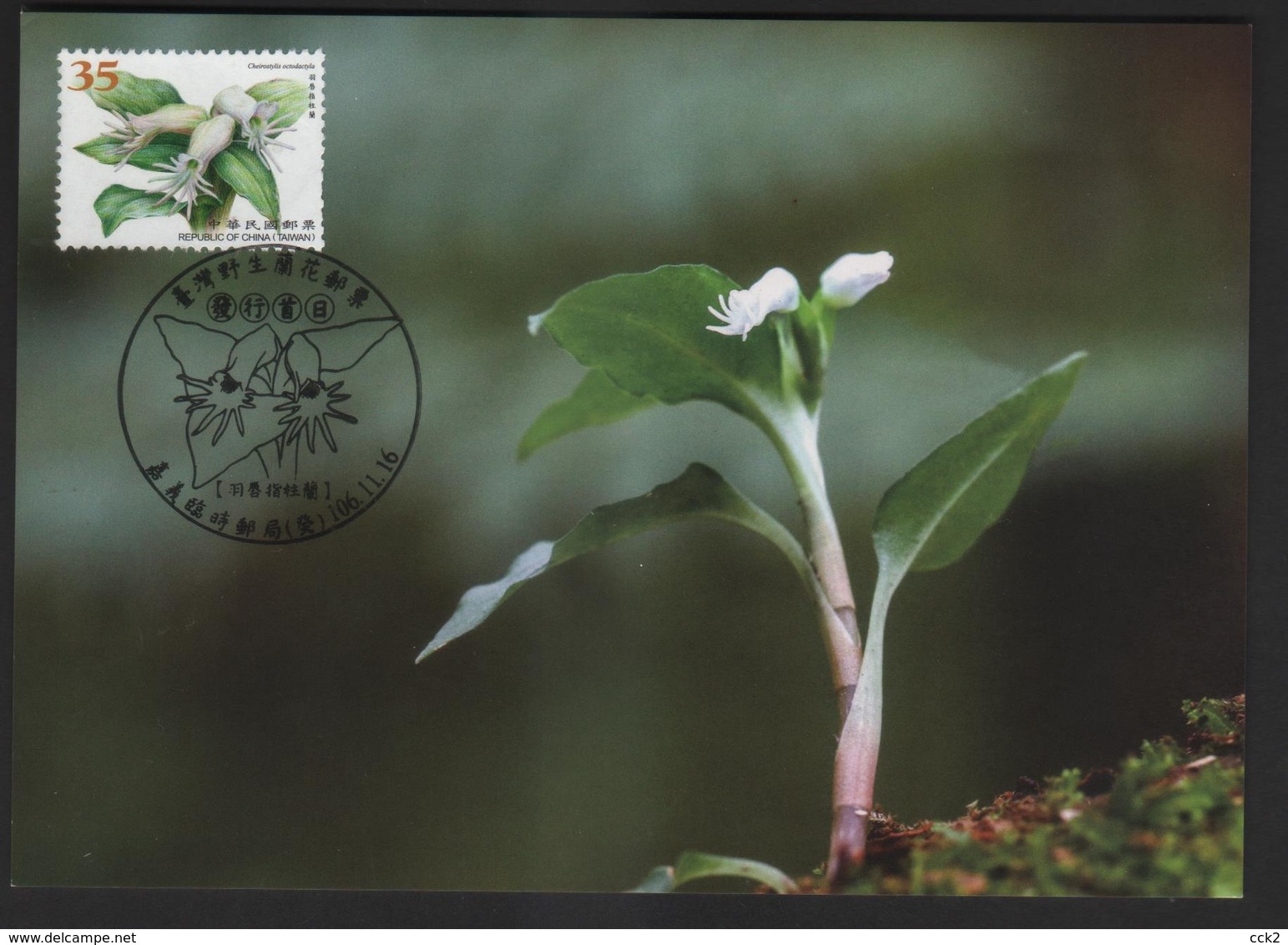 2017 Taiwan R.O.CHINA - Maximum Card.- Wild Orchids Of Taiwan Postage Stamp - Orquideas