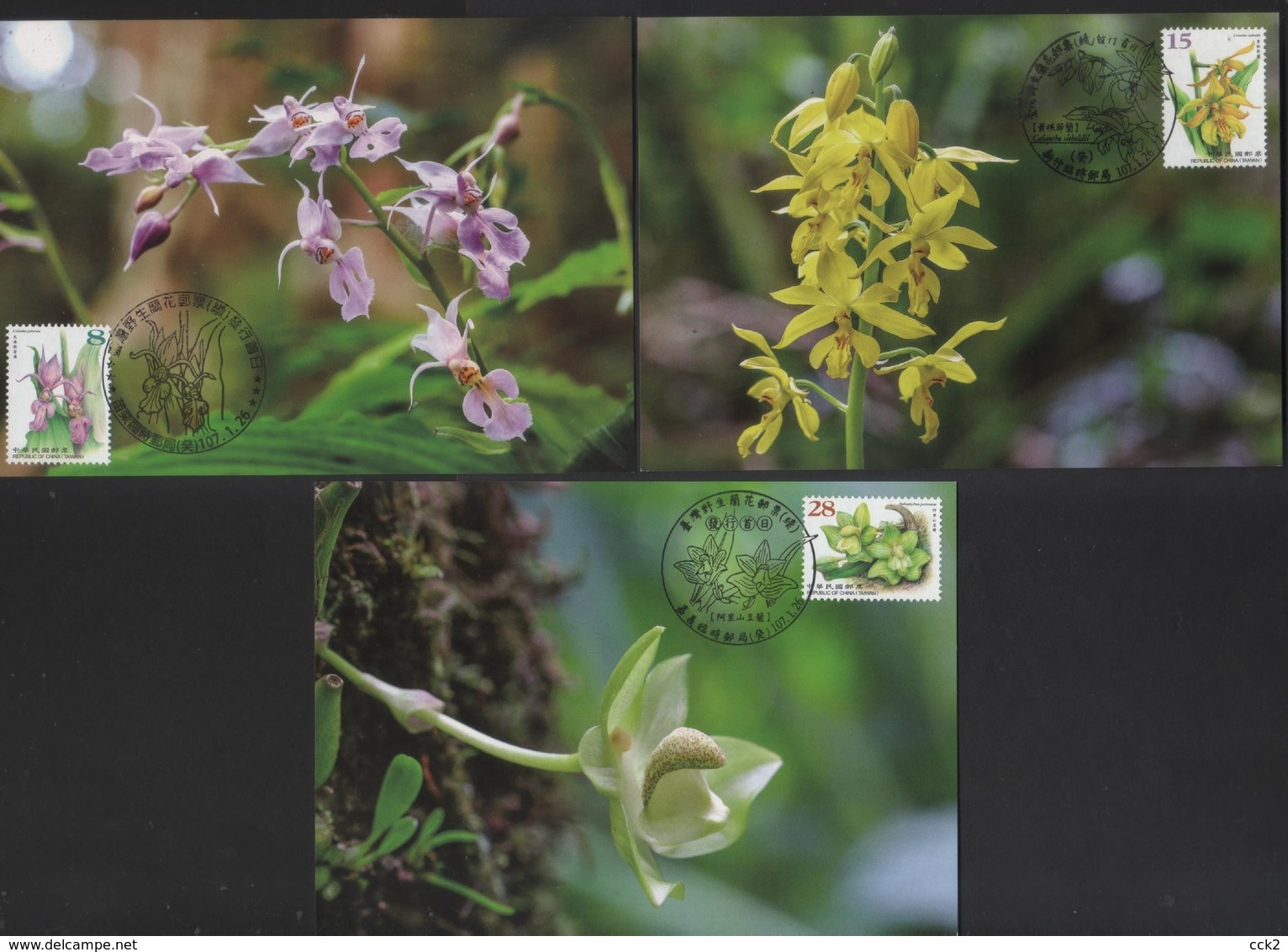 2017 Taiwan R.O.CHINA - Maximum Card.- Wild Orchids Of Taiwan  (Continued) 5 Pcs. - Orchidées