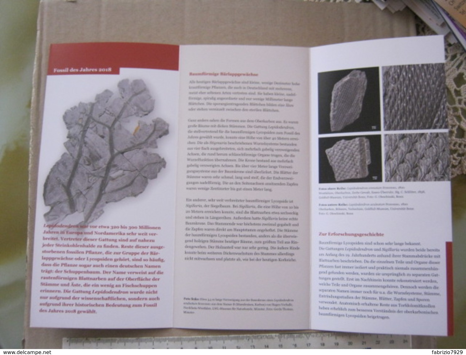 Z.06 FOSSILI DEPLIANT - GERMANY FOSSIL DES JAHRES - 2018 LEPIDODENDRON - Fossiles