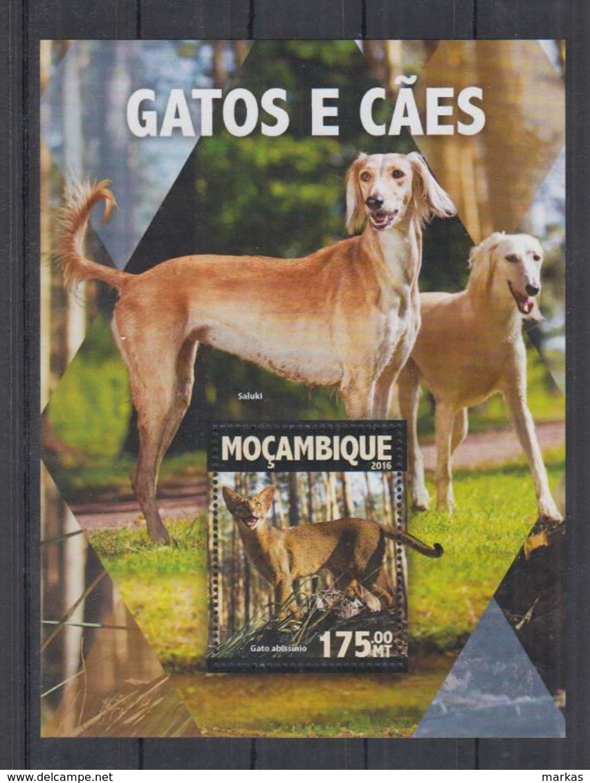 M326. Mozambique - MNH - 2016 - Nature - Animals - Pets - Dogs - Bl - Sonstige & Ohne Zuordnung