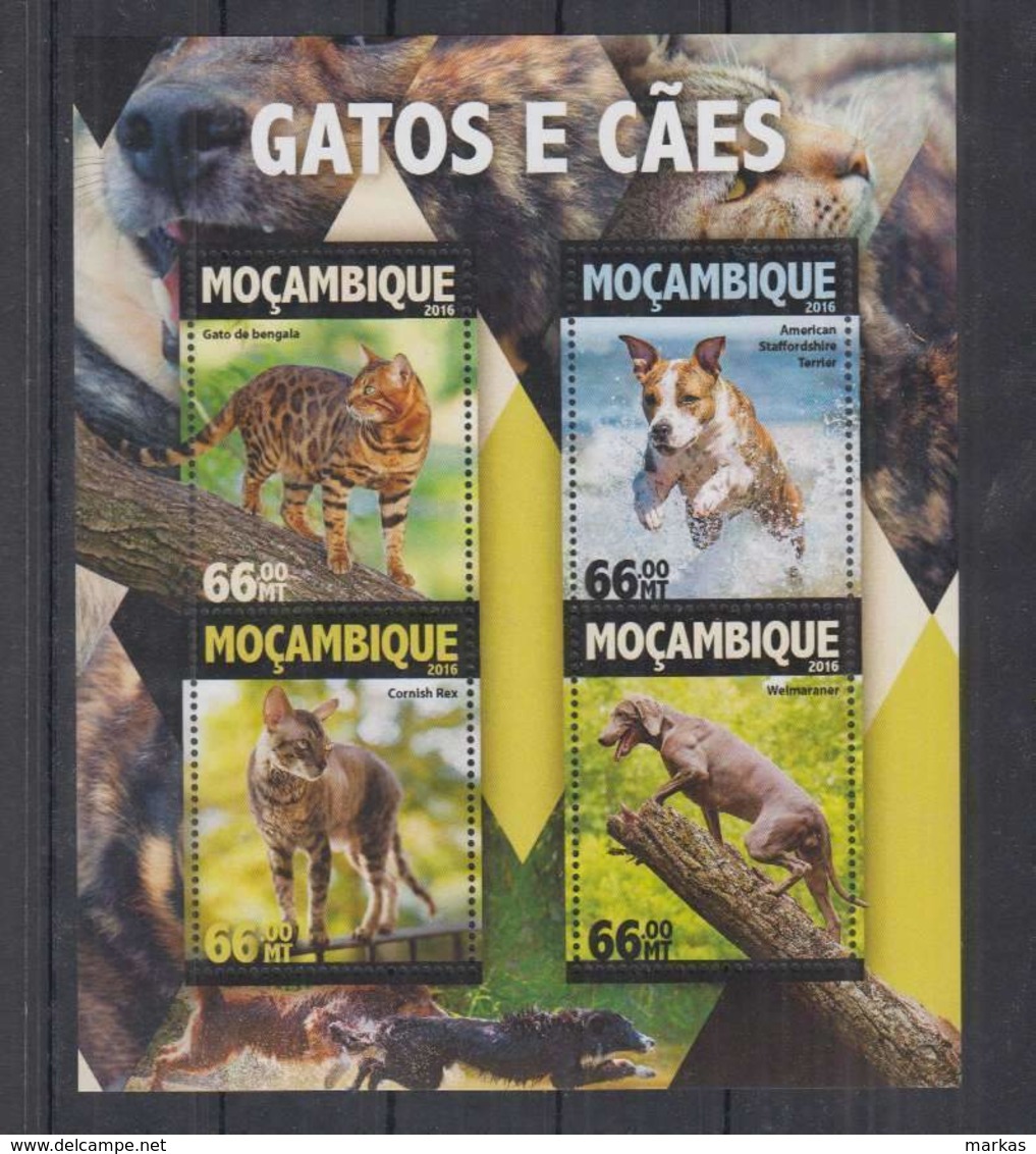 M326. Mozambique - MNH - 2016 - Nature - Animals - Pets - Dogs - Sonstige & Ohne Zuordnung