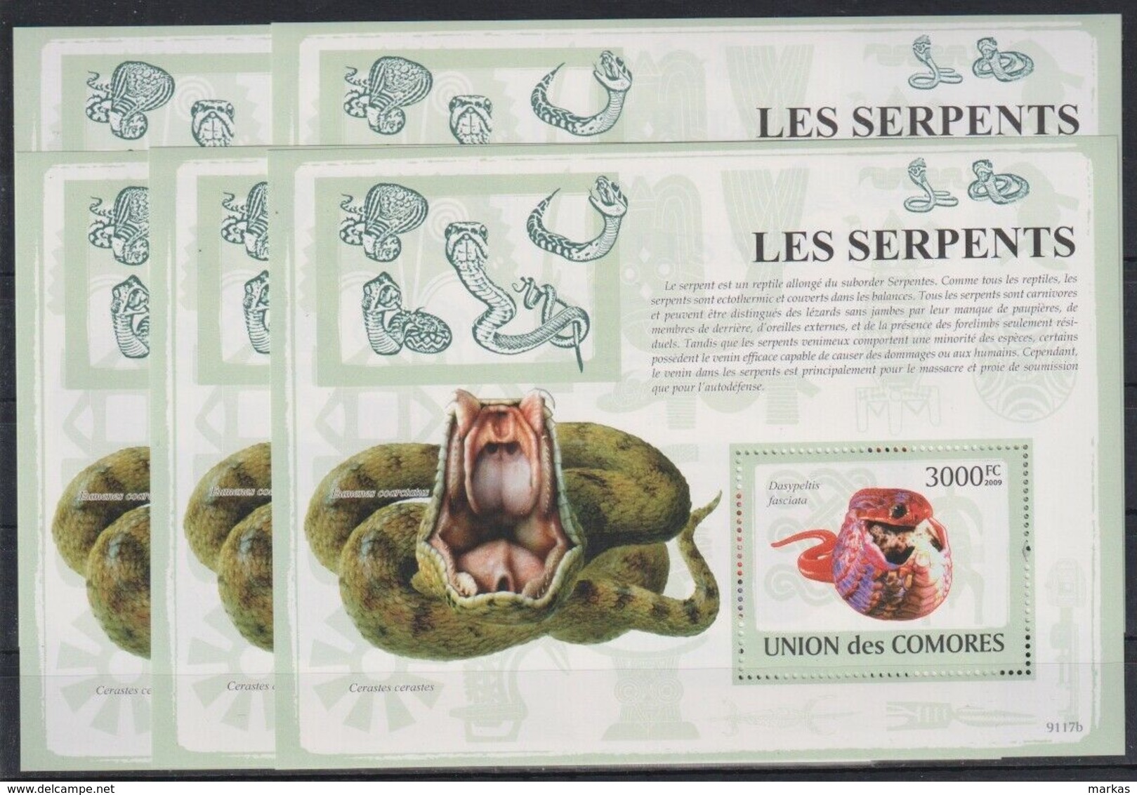 M325. 5x Comores - MNH - Animals - Reptiles - Snakes - 2009 - Bl. - Altri & Non Classificati