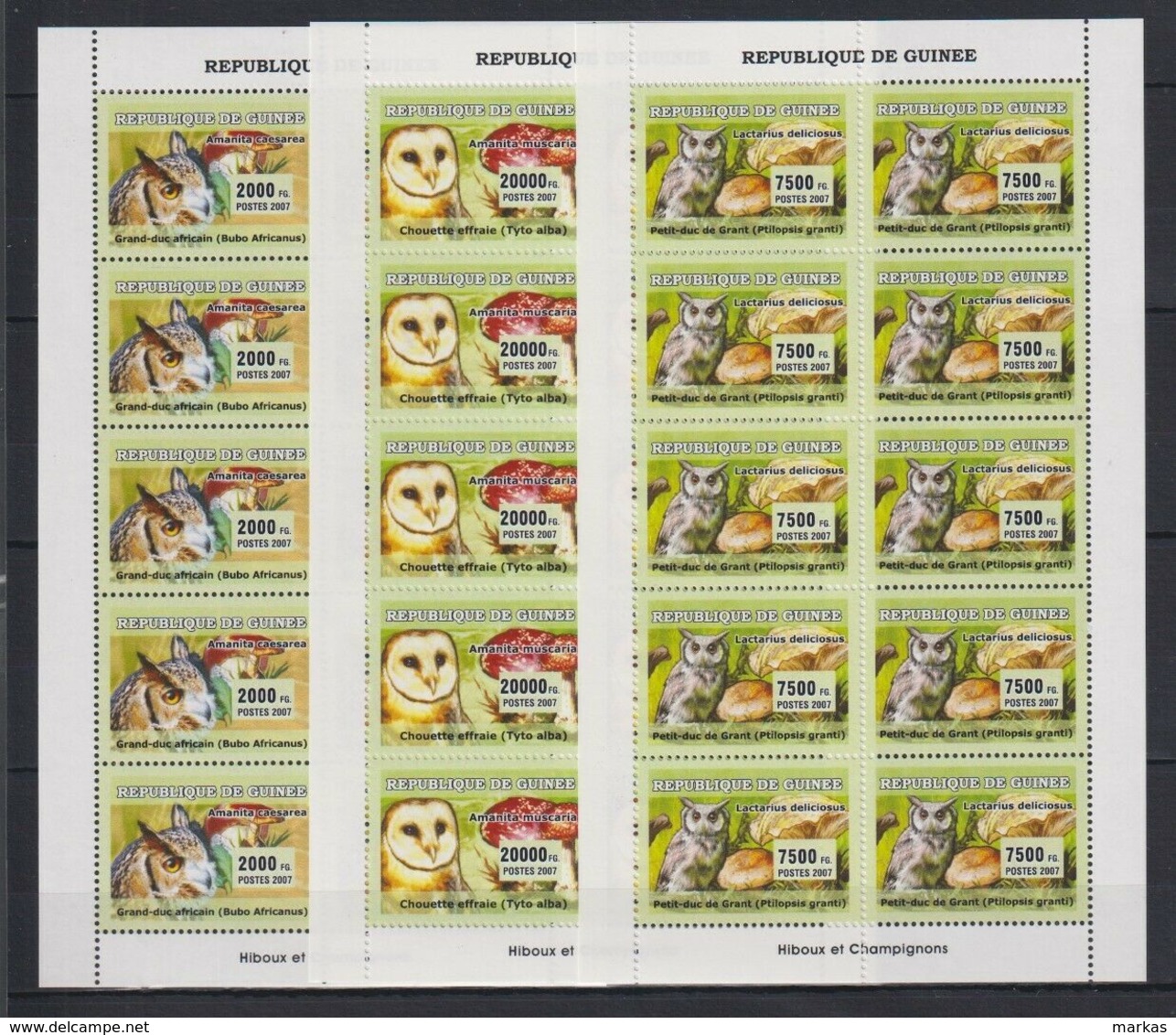 L326. Guinea - MNH - Anima Kingdom - Birds - Owls - Mushrooms - 2007 - Altri & Non Classificati