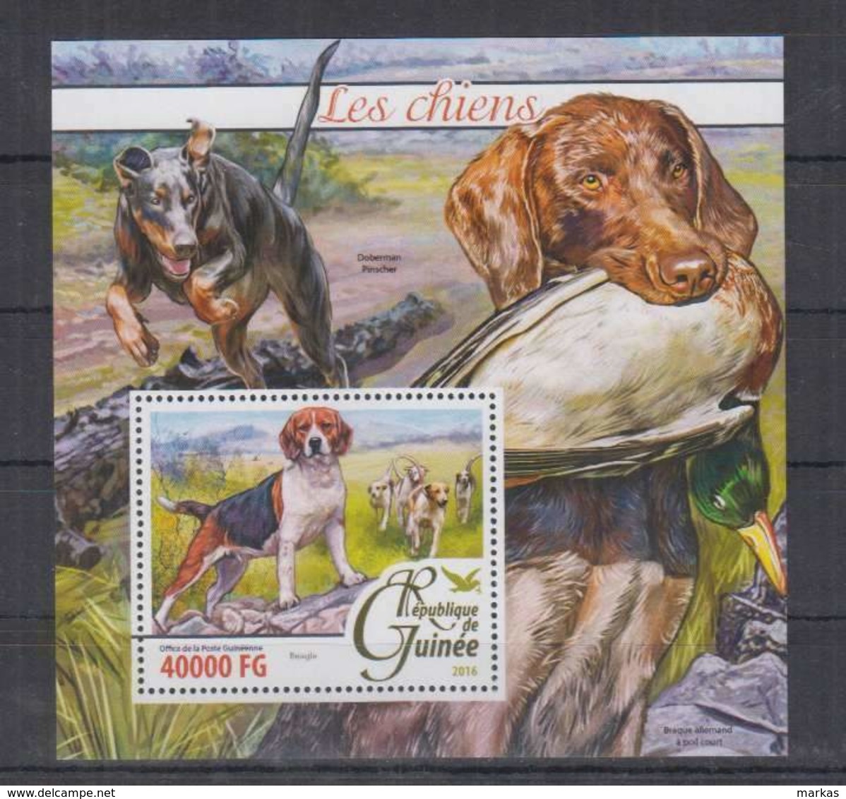 K326. Guinee - MNH - 2016 - Nature - Fauna - Aninals - Pets - Dogs - Bl - Sonstige & Ohne Zuordnung