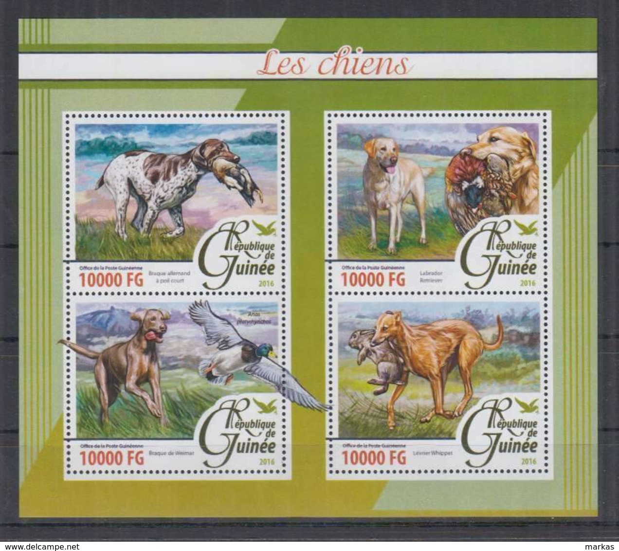 K326. Guinee - MNH - 2016 - Nature - Fauna - Aninals - Pets - Dogs - Sonstige & Ohne Zuordnung