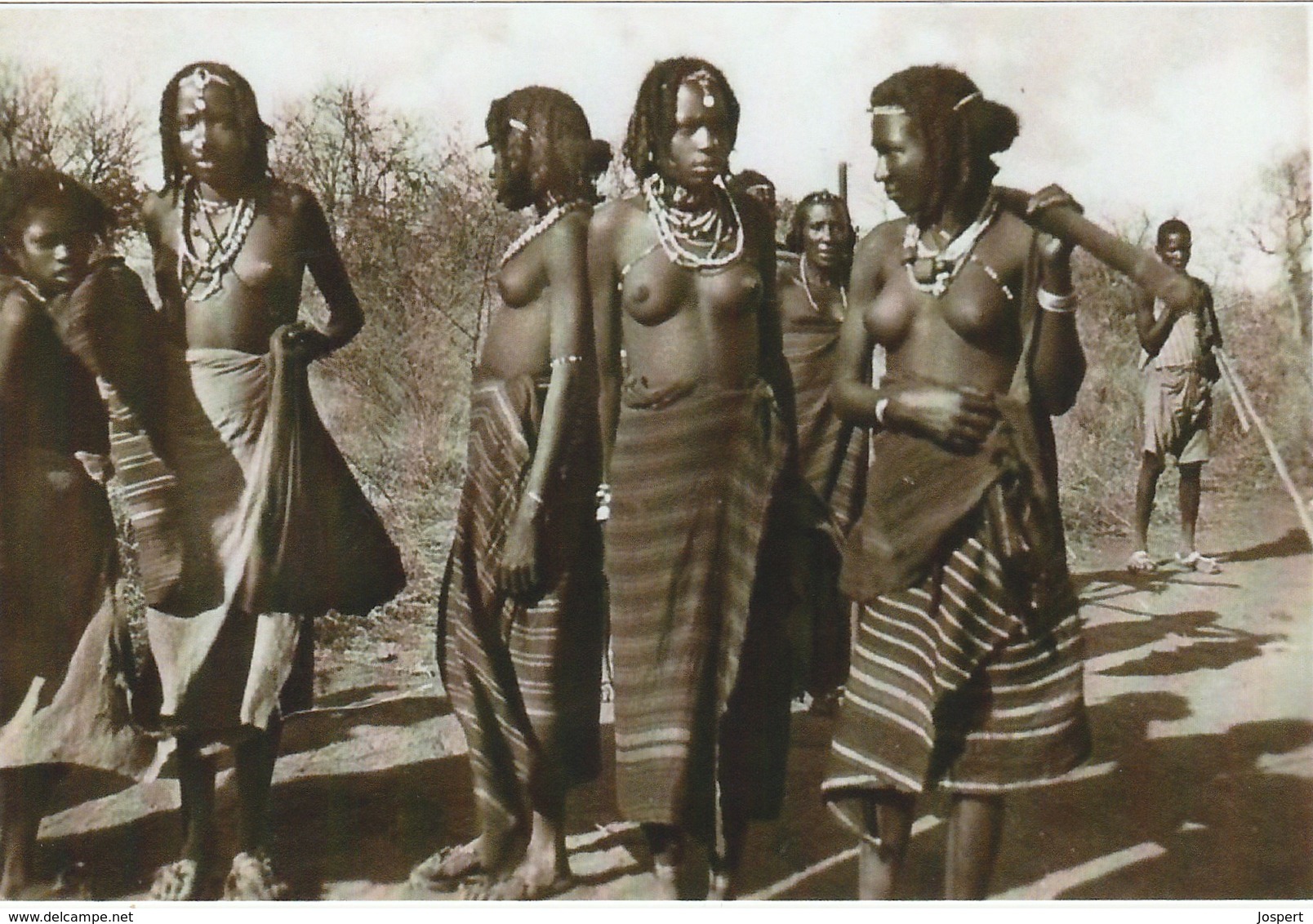 Donne Cunama, Femmes Seins Nus, Nu Etique,  Photo Of Old  Postcard; 2 Scans - Eritrea