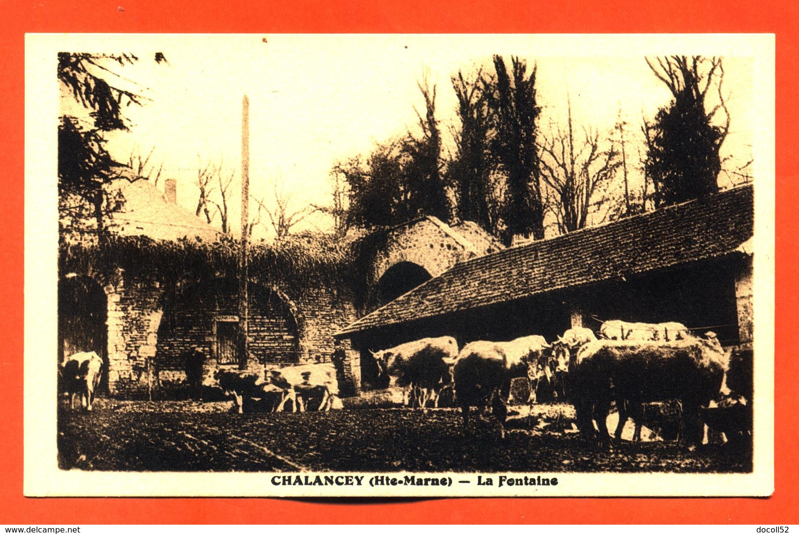 CPA 52 Chalancey " La Fontaine " Vaches - Autres & Non Classés