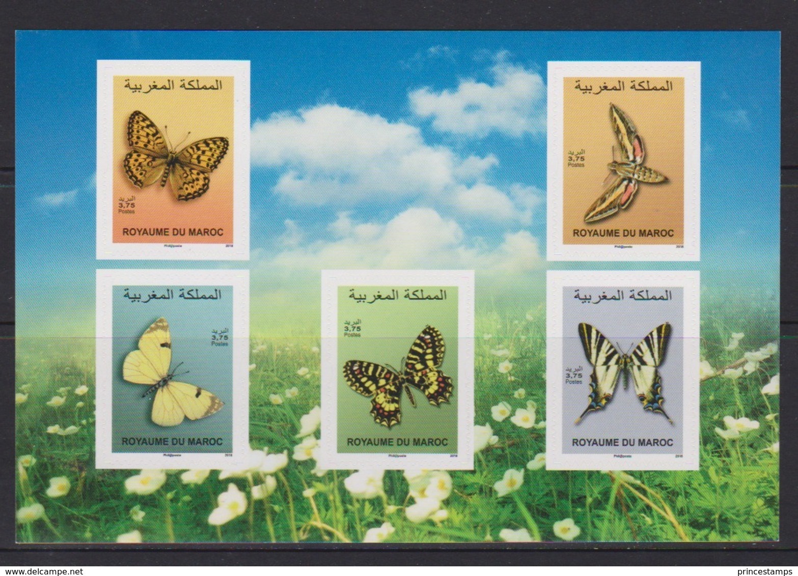 Morocco - Maroc (2019) - Block - /  Butterflies - Butterfly - Papillon - Insects - Vlinders - Papillons