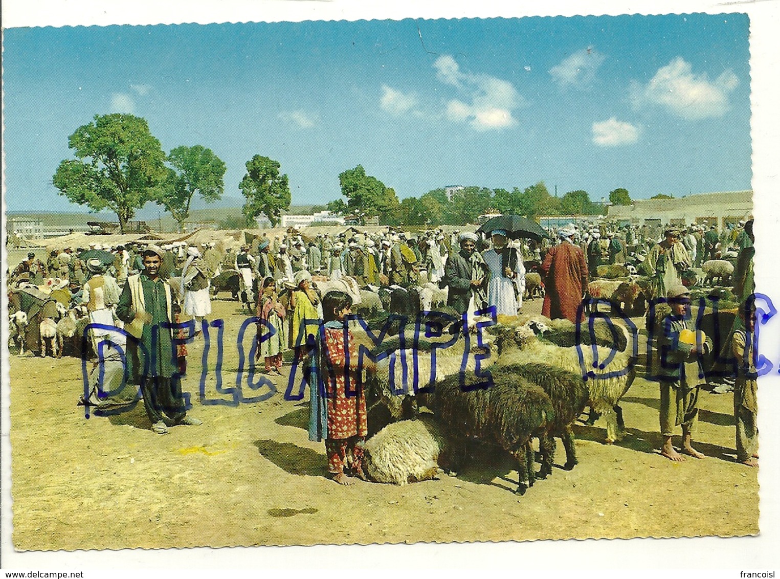 Afghanistan. Stockyard Kabul. Marché Aux Animaux - Afghanistan