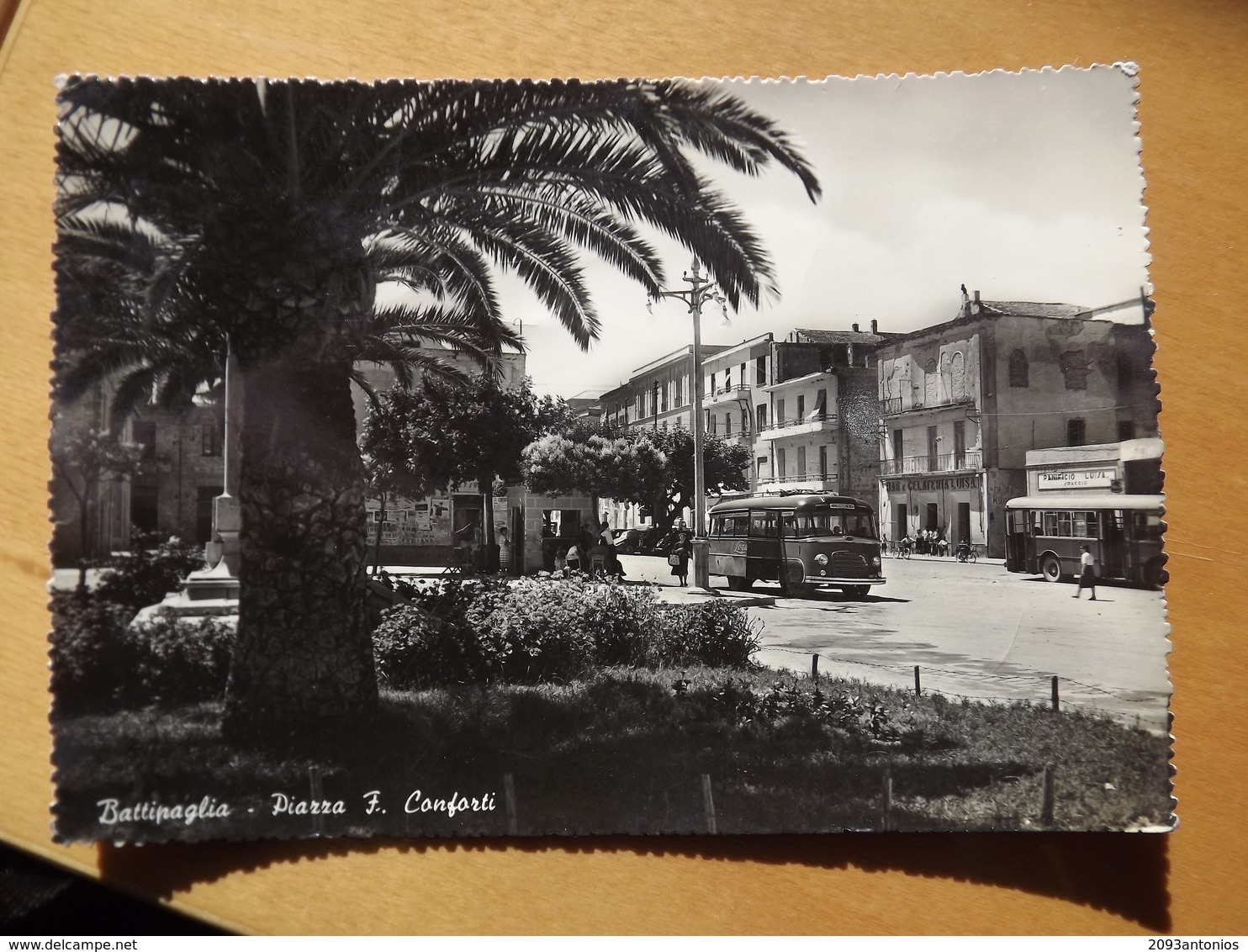 Q1002 CARTOLINA  Di BATTIPAGLIA SALERNO  VIAGGIATA  BUS CORRIERA - Battipaglia