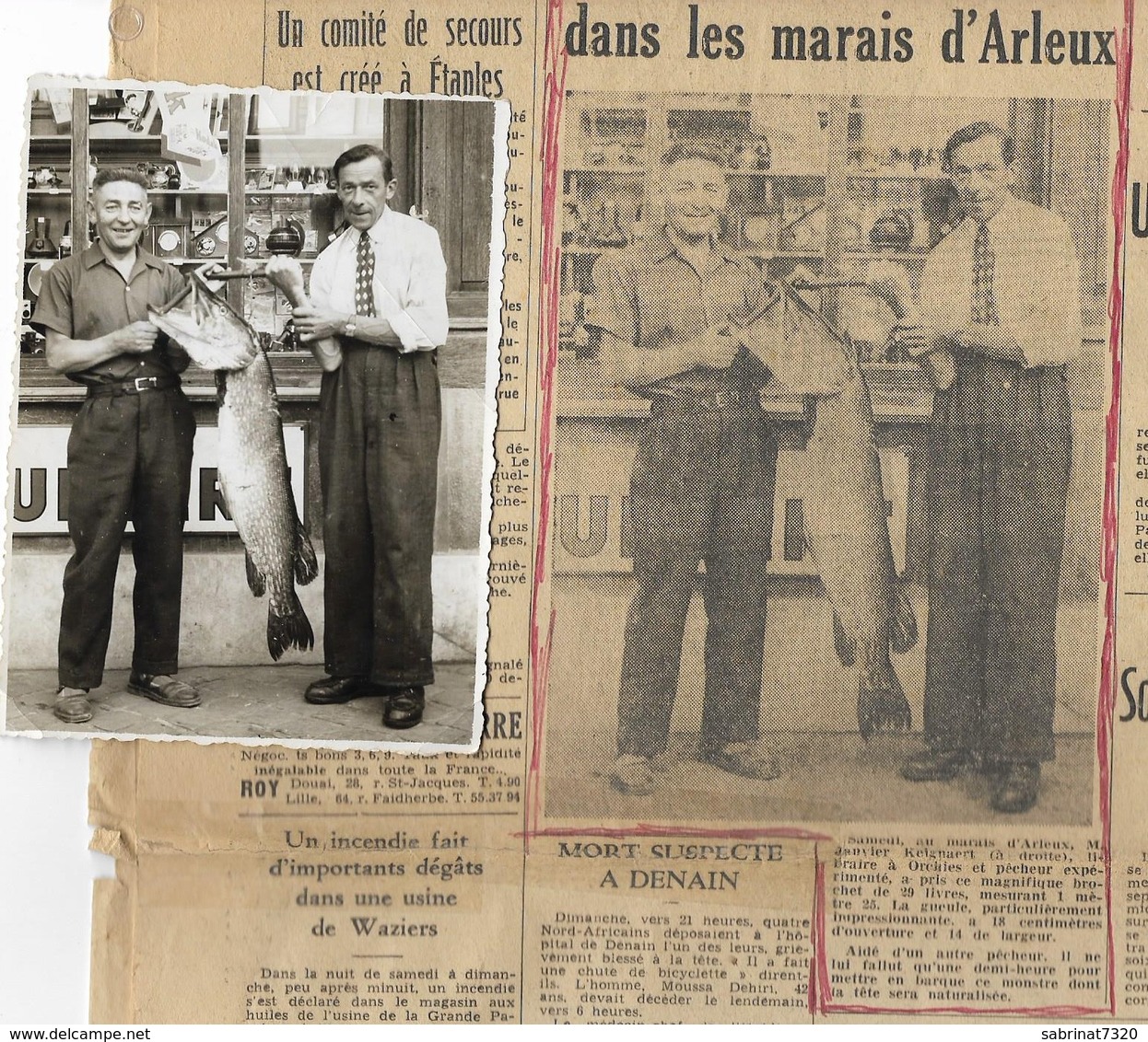 Ancienne Photo + Article  : Janvier KEIGNART à Droite...,"Brochet Pris à Arleux 29 Livres 1m29 Long."( 11,5 X 8,3 Cm ) - Arleux