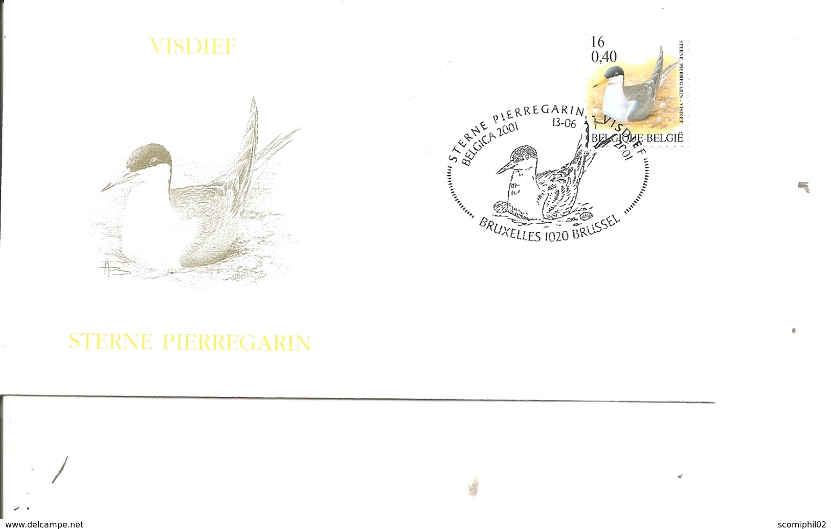 Oiseaux - Buzin - Sterne ( FDC De Belgique De 2001 à Voir) - Sonstige & Ohne Zuordnung