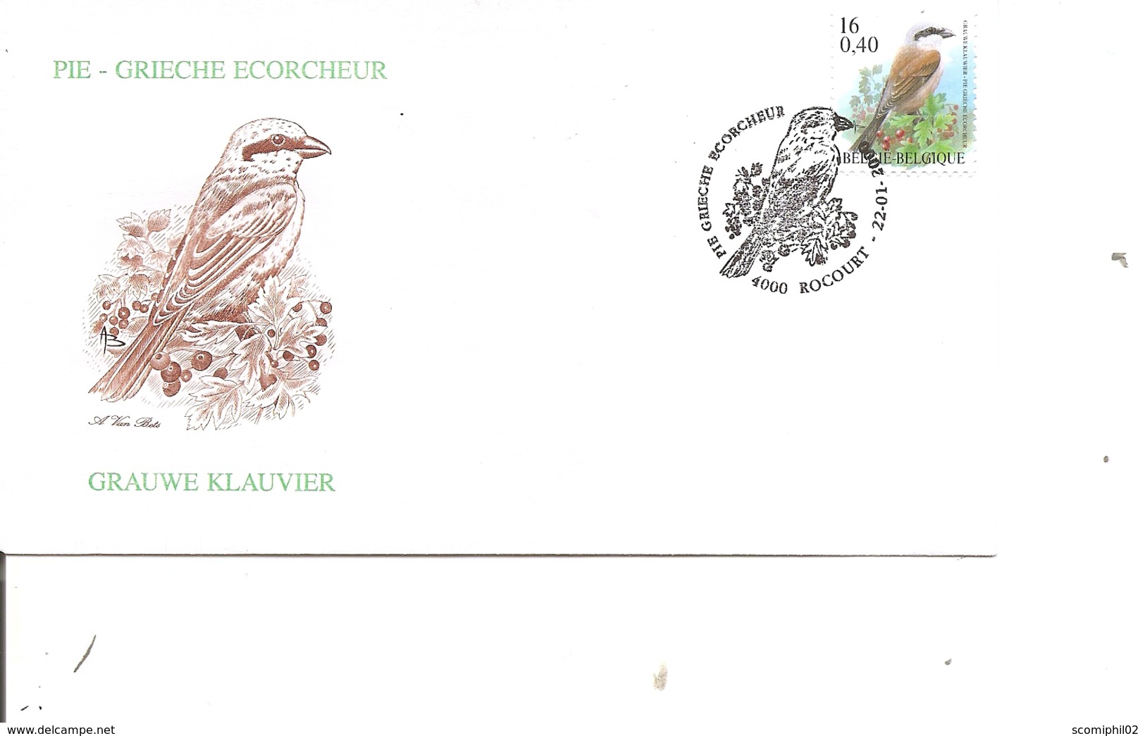 Oiseaux - Buzin - Pie Grièche écorcheur ( FDC De Belgique De 2000 à Voir) - Other & Unclassified