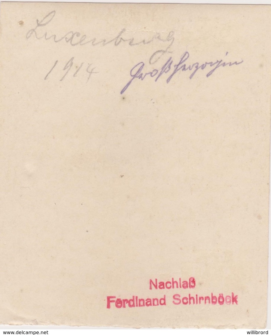 Luxembourg - MARIE ADÉLAÏDE DIE PROOF ON GLAZED CARD BY SCHIRNBÖCK - Showpiece Believed To Be Unique - - 1914-24 Marie-Adélaïde