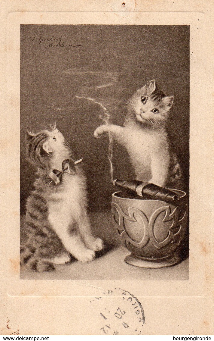 CHATS ADMIRANT LA FUMEE D UN CIGARE - ANNEE 1911 - Chats