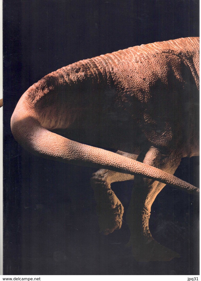 Livret Les Dinosaures - Canada / Australie / Nouvelle-Zélande - Canada Post 1993 - Emissions Communes