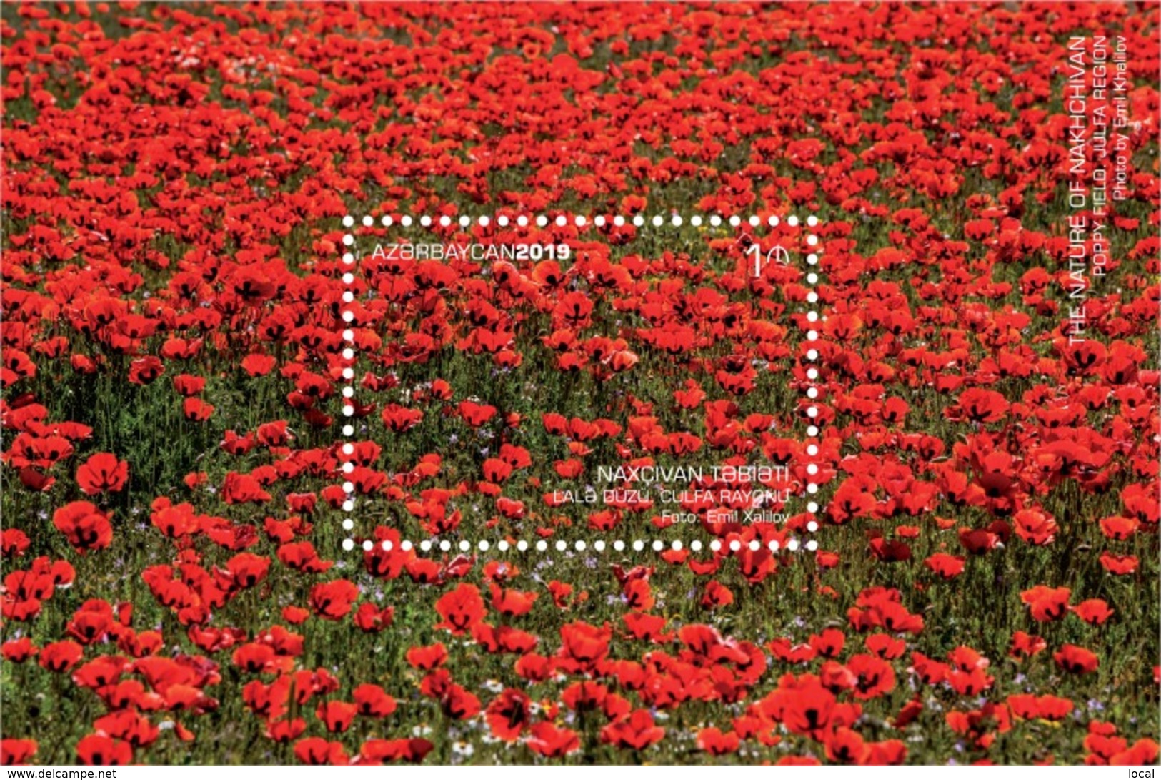 Azerbaijan Stamps 2019 NAKHCHIVAN Poppy Field. Julfa Region Flowers - Azerbaijan