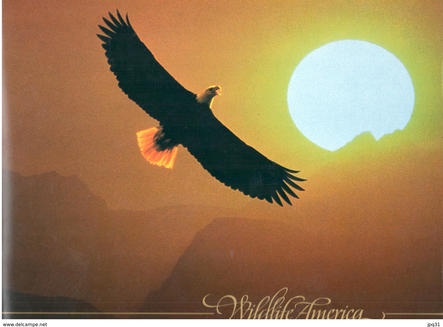 Livre Wildlife America - USPS 1987 - Altri & Non Classificati